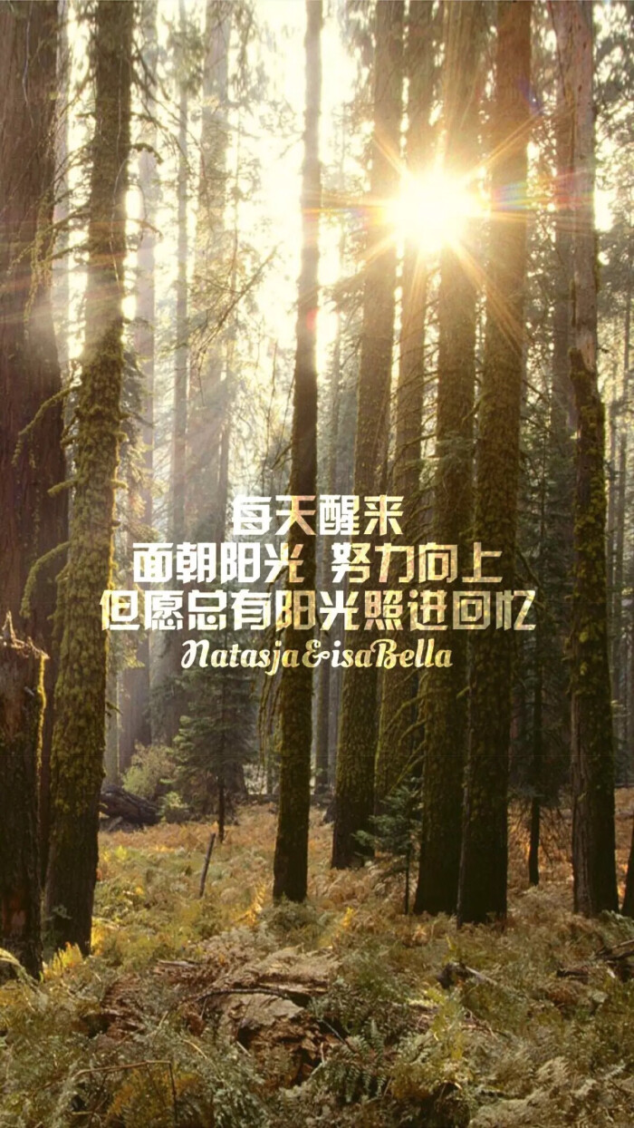 做一个小太阳 发光发热 文字壁纸