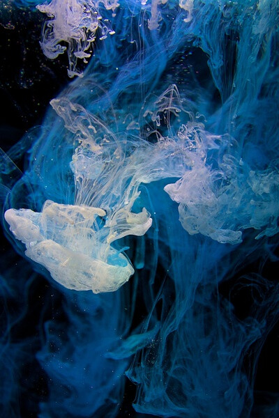大海 天空 蓝色 壁纸 桌面 海水 海边 海浪 浪花