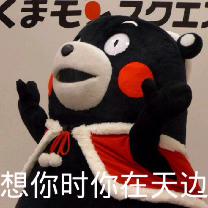 部长表情包 熊本熊 kumamon 熊本熊表情～ 想你时你在天边～( -_- )