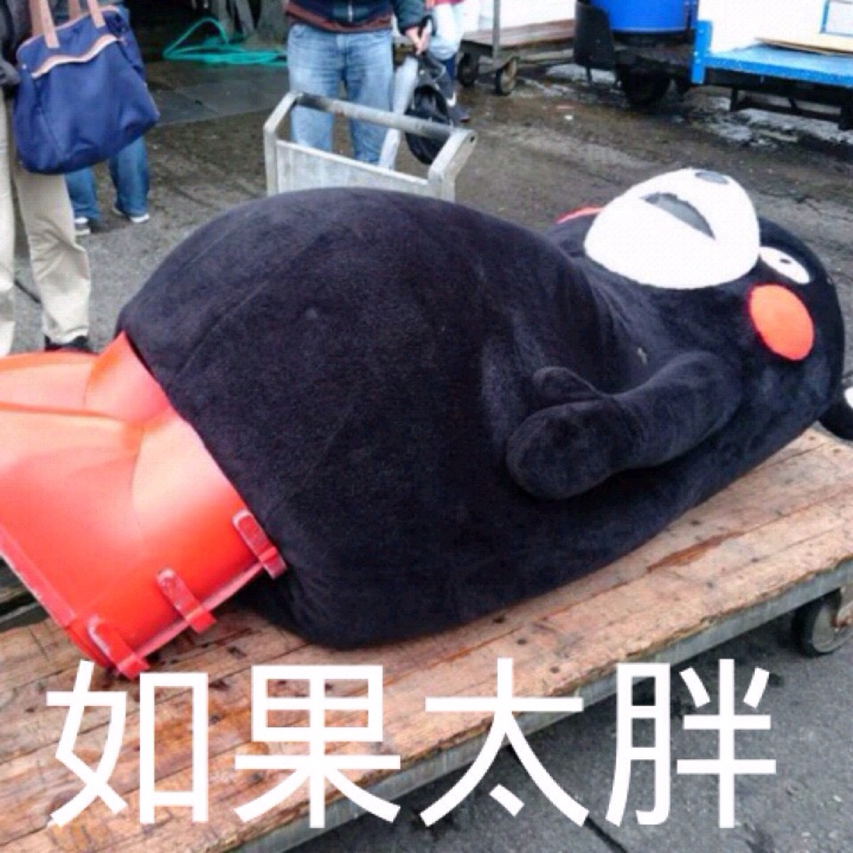 部长表情包 熊本熊 kumamon 熊本熊表情～ 如果太胖,会被杀掉…(ー`ー