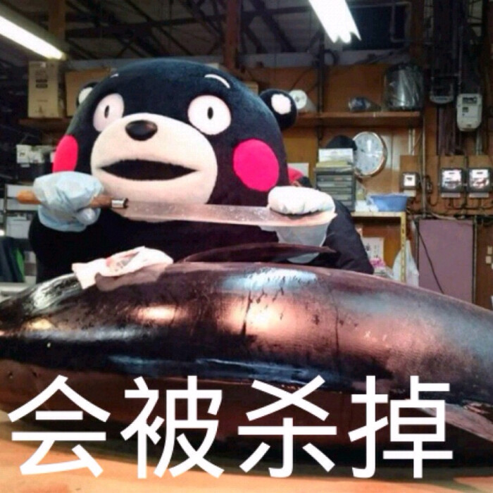 部长表情包 熊本熊 kumamon 熊本熊表情～ 如果太胖,会被杀掉～( ")