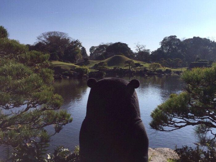 部长 熊本熊 kumamon～炒鸡萌 美腻的背影/ω)