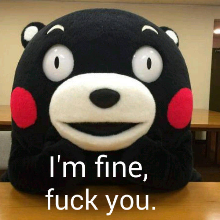 i"m fine fuck you