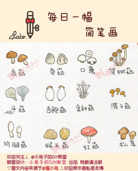 每日一幅,简笔画#【常见的菌菇类】简笔画也可以往蔬菜界发展!
