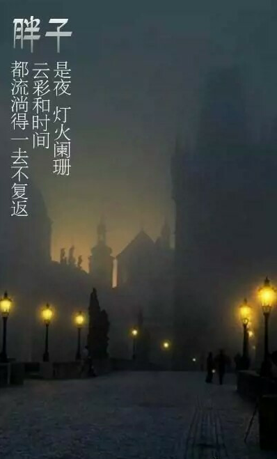 是夜 灯火阑珊 云彩和时间 都流淌得一去不复返.【胖子】by桃叶念之