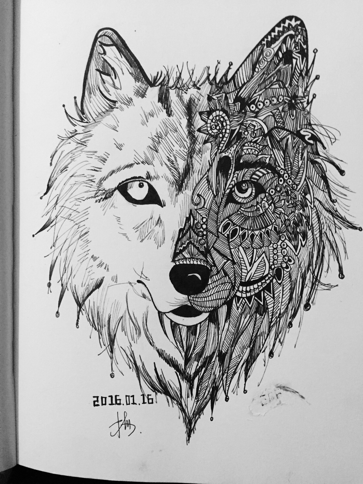 狼 钢笔画 线描 手绘 黑白