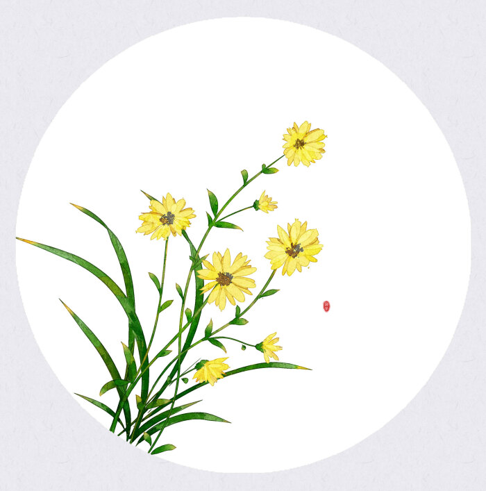 「月上雪」古风插画,水彩花卉,手绘小菊花