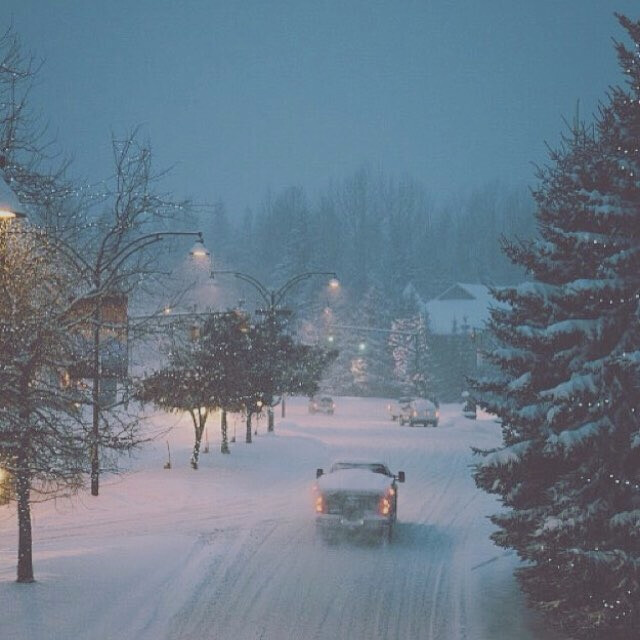 下雪 雪天 冬天 背景图 封面 头像