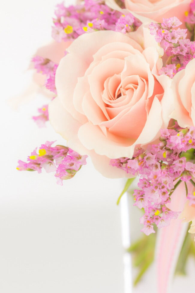 粉色花朵,玫瑰花,淡雅,粉色,玫瑰,鲜花,粉玫瑰,花朵,花瓣,花卉,唯美