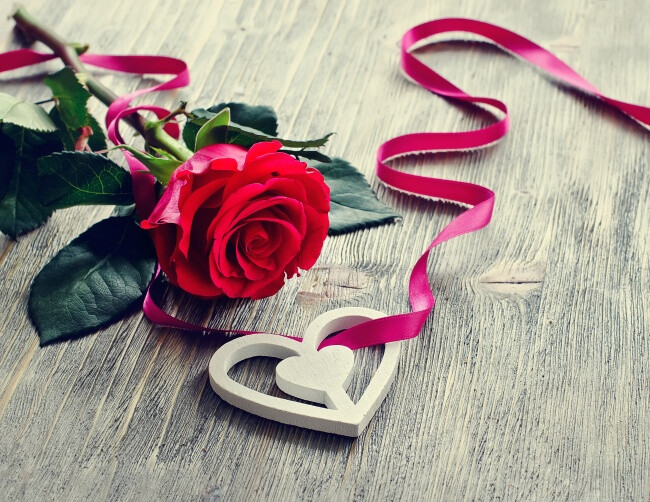 花瓣,红玫瑰,玫瑰,火玫瑰,爱情花朵,心形,爱心,丝带,彩带,爱情玫瑰