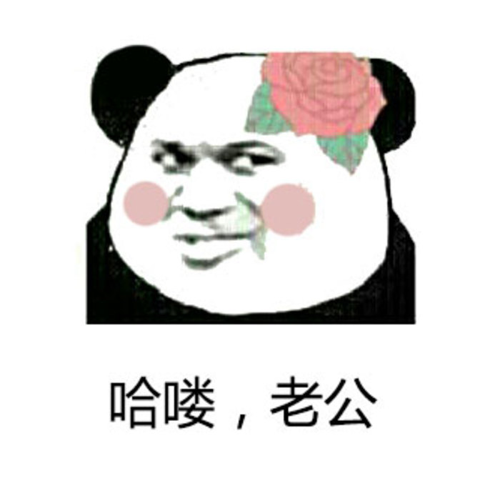 zz大小姐@ 微信qq聊天专用表情包