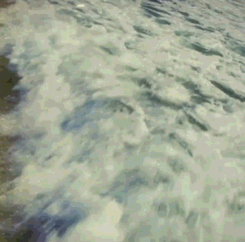 大海