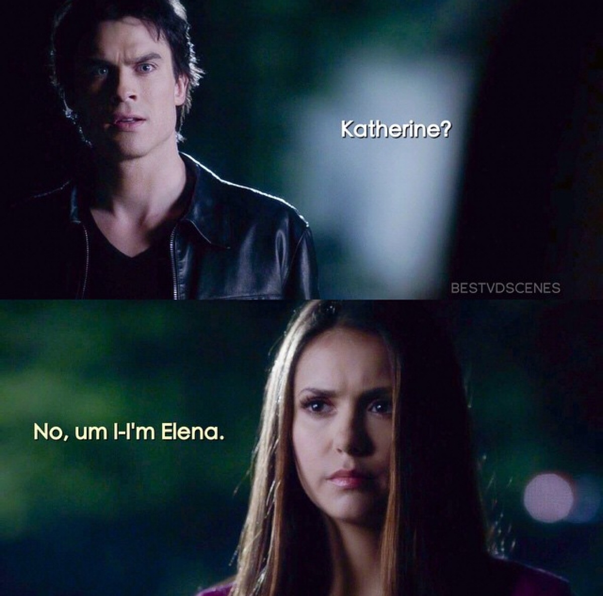 elena and damon