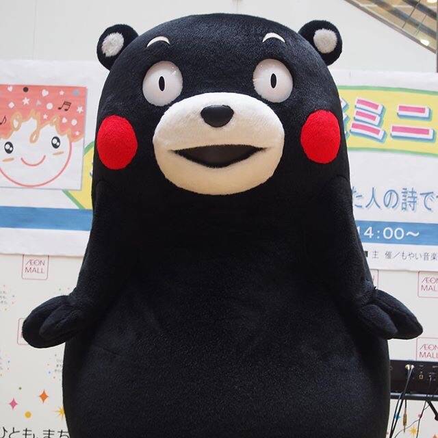 难道朕的颜值不足以撑起整个表情包界@(~-~)@ kumamon