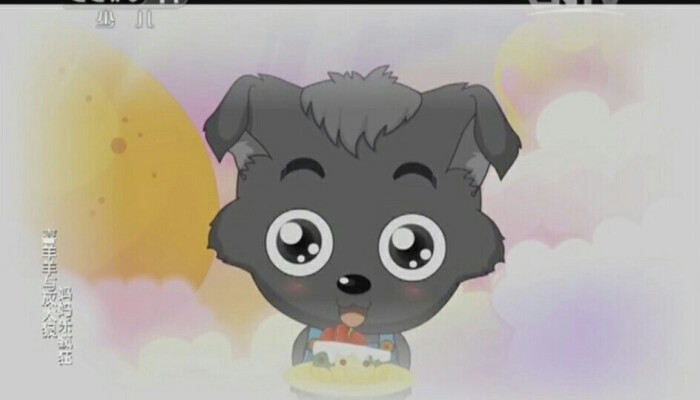 小灰灰 