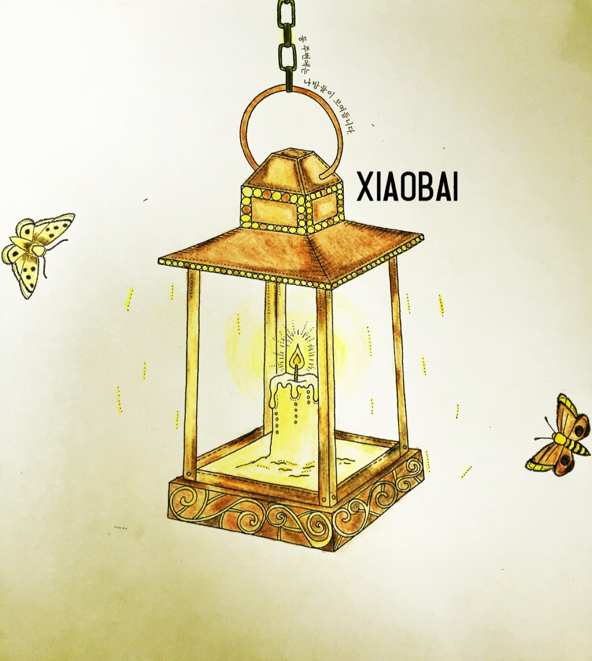 小白的秘密花园