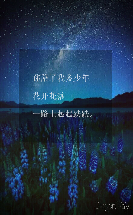 龙族 文字 壁纸