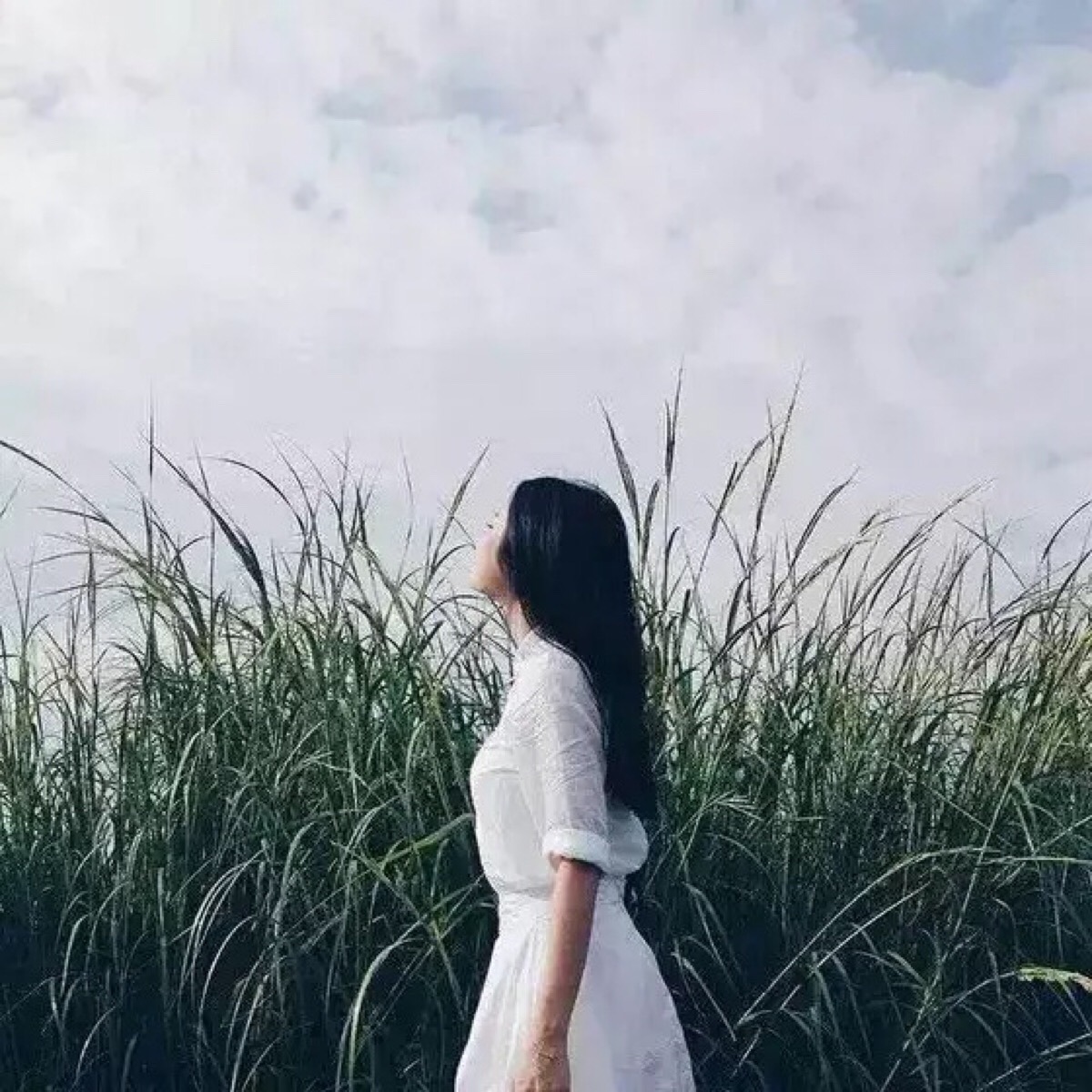 女头 个性 精选 闺蜜头 欧美 背影 情头 小清新 森系 少女 唯美 浪漫
