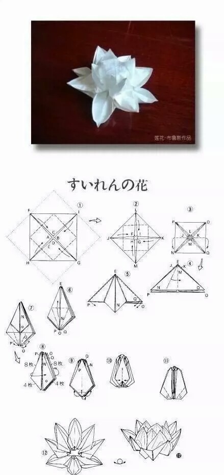 九种纸折花 美呆了