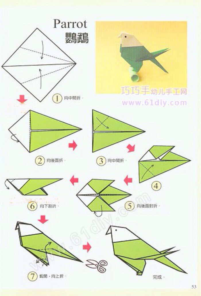 折纸,鹦鹉