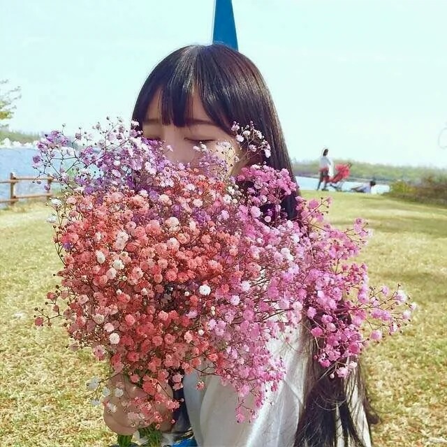 宁静致远 海阔天空 一望无际 野草吹又生 落花时节又逢君 女生头像