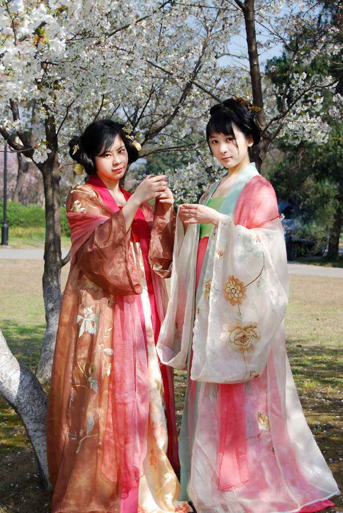 汉服 汉族 传统服饰 外着大袖衫