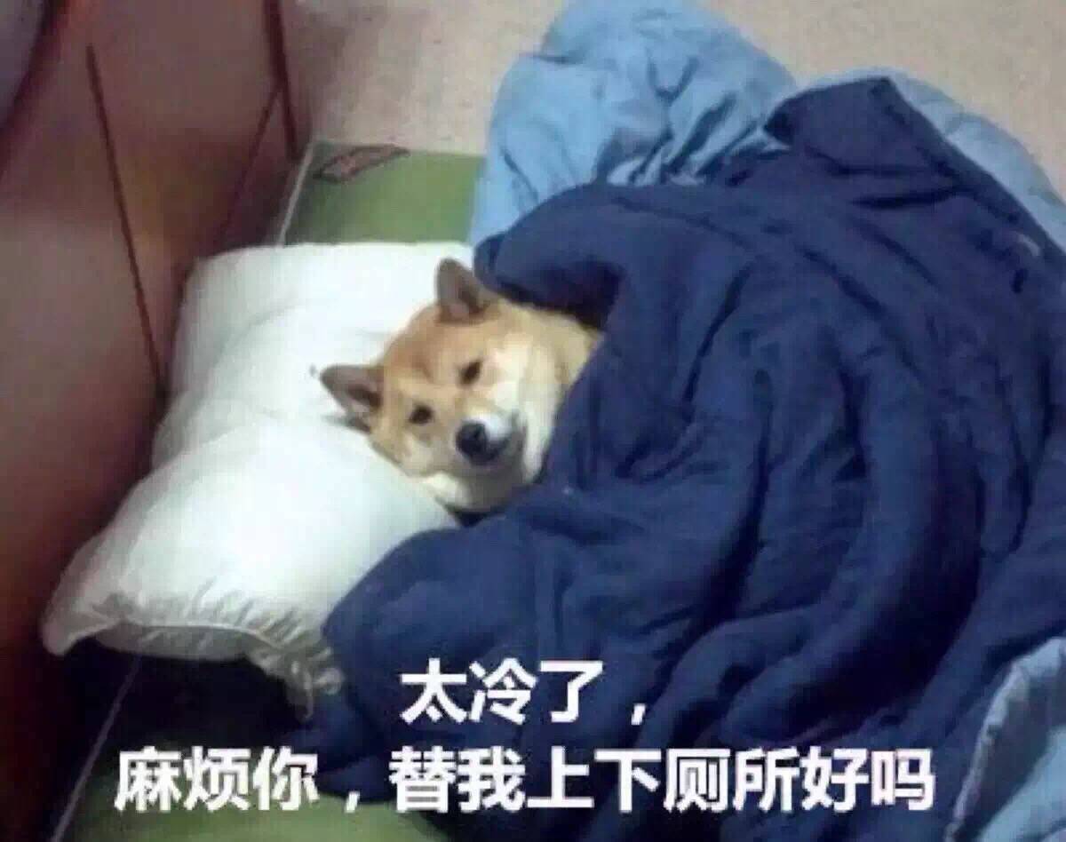 柴犬表情包