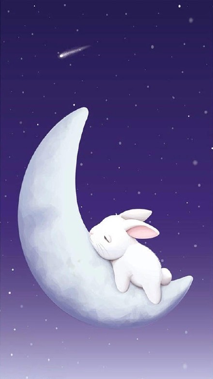 月亮与兔