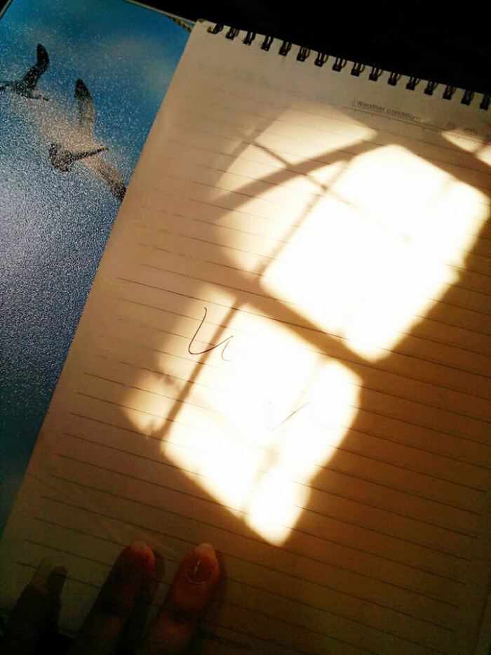 午后暖阳