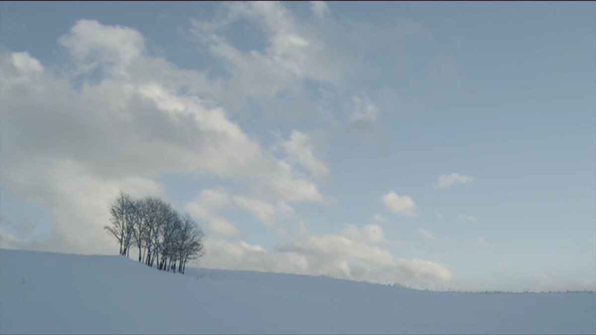 小森林 冬春篇 冬景