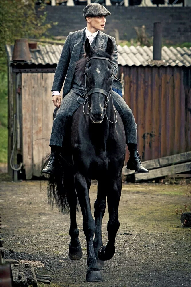 希里安.墨菲cillian murphy