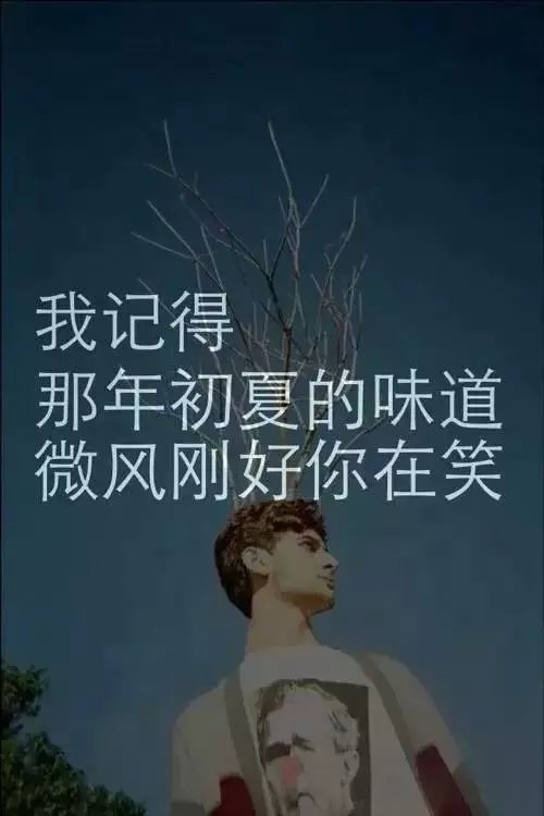 图片带字是可以很温暖很难过很冷冽的