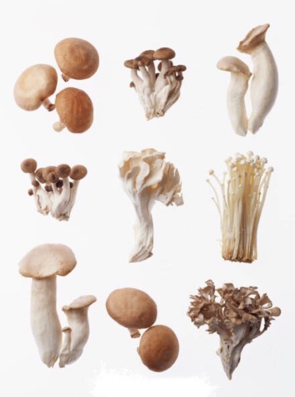 【七种菌类功效】⒈蘑菇:抗肺癌,皮肤癌;⒉香菇:降压抗癌,滋养皮肤
