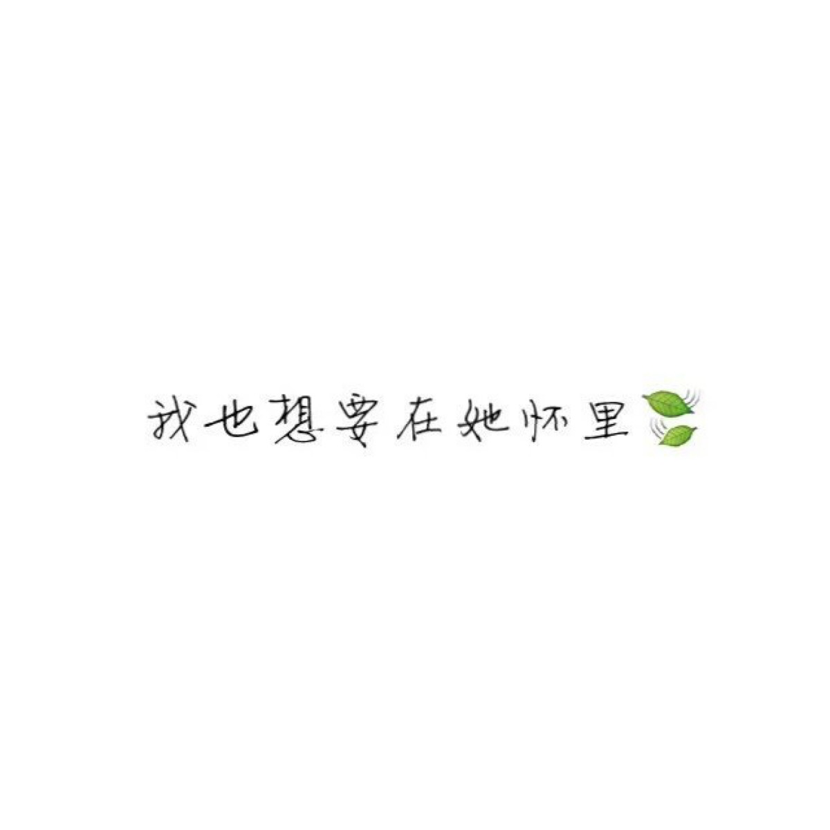 文字备忘录壁纸白底文字头像