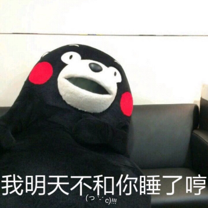 kumamon 部长 熊本熊 部长表情包 我明天不和你睡了哼