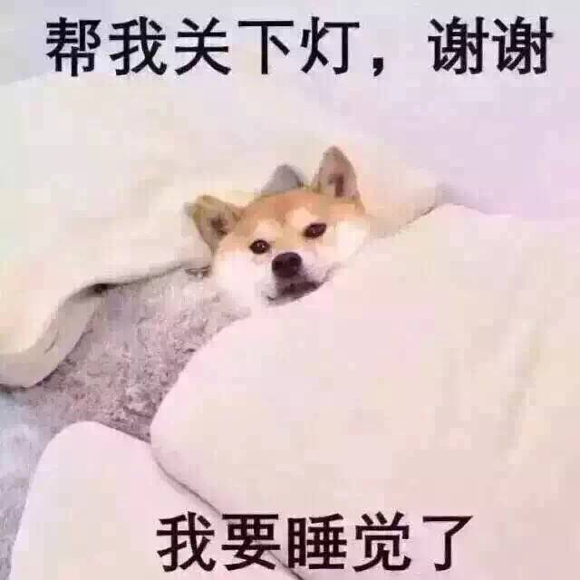 柴犬表情 帮我关下灯谢谢