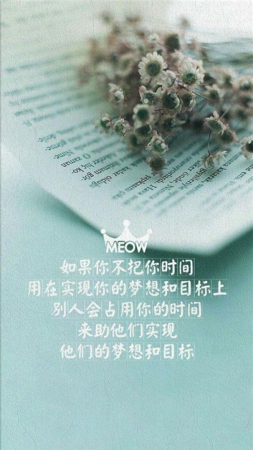 手机壁纸 皮肤 带字 小清新 唯美