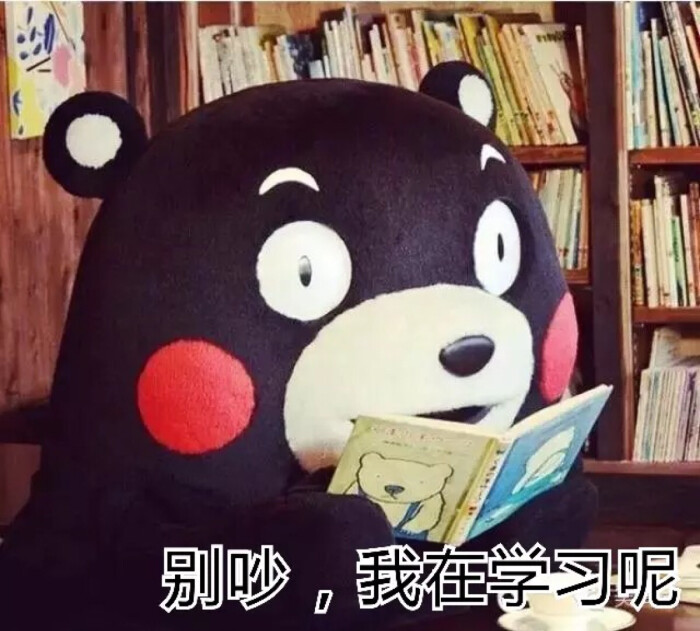 别吵,我在学习呢