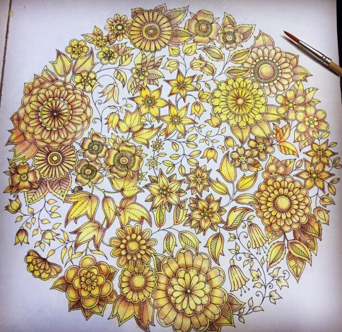 秘密花园水溶彩铅自画