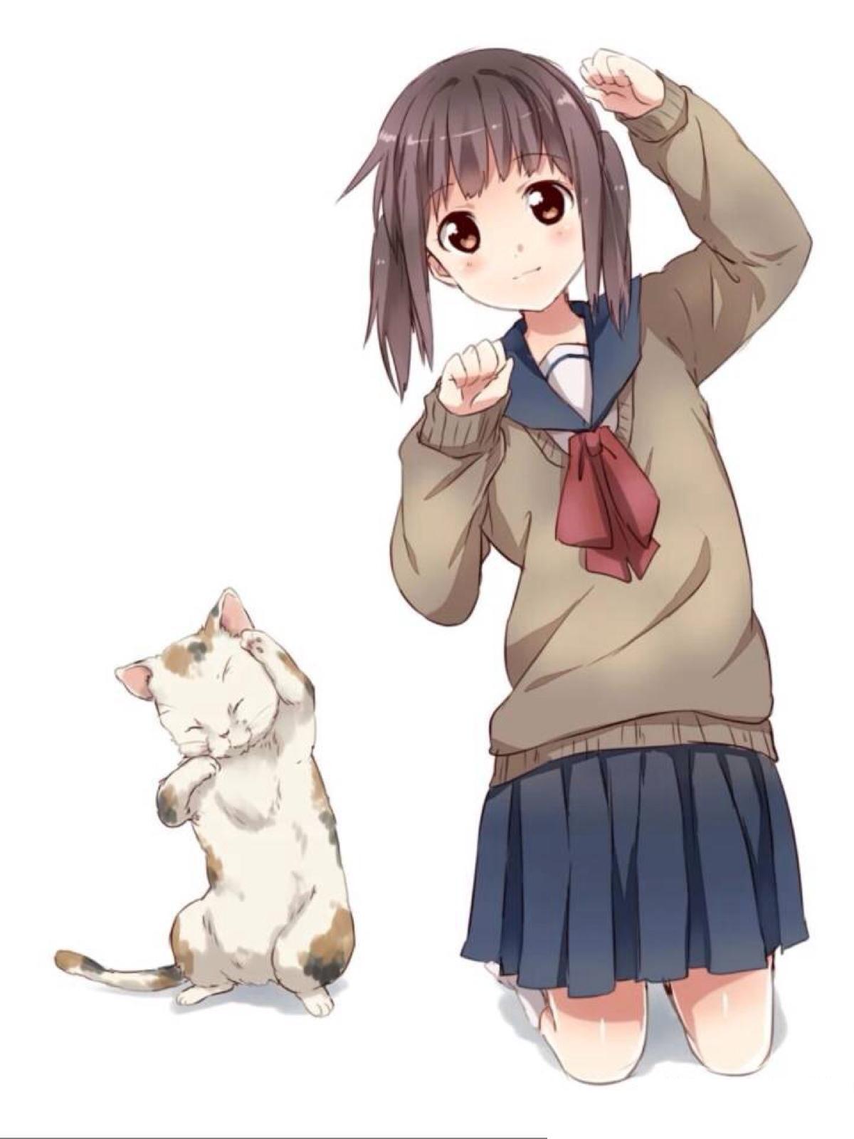 猫与少女