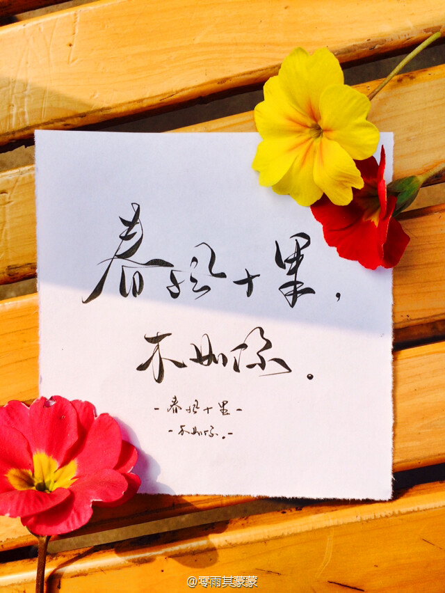 手写 菊花体# #转发写字# 【小菊花课堂——春风十里,不如你.