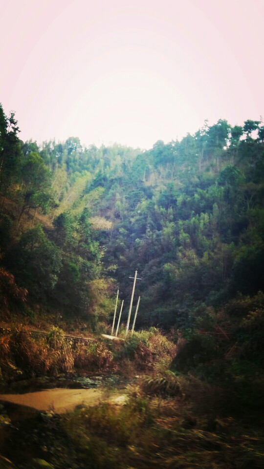 风景,壁纸,乡村