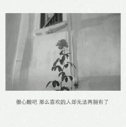 伤感句子 温暖文字 治愈系文字 虐心文字 伤感情话你一定很心酸吧