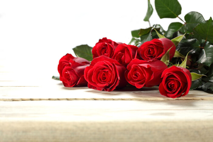 「玫瑰」『七朵红玫瑰』[花语]— 喜相逢 七朵玫瑰:我偷偷地爱着你.