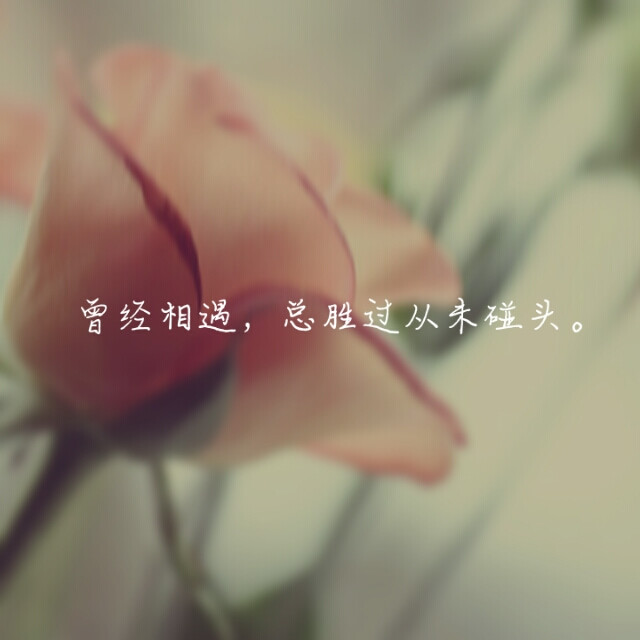 张爱玲,经典,爱情,感人语句