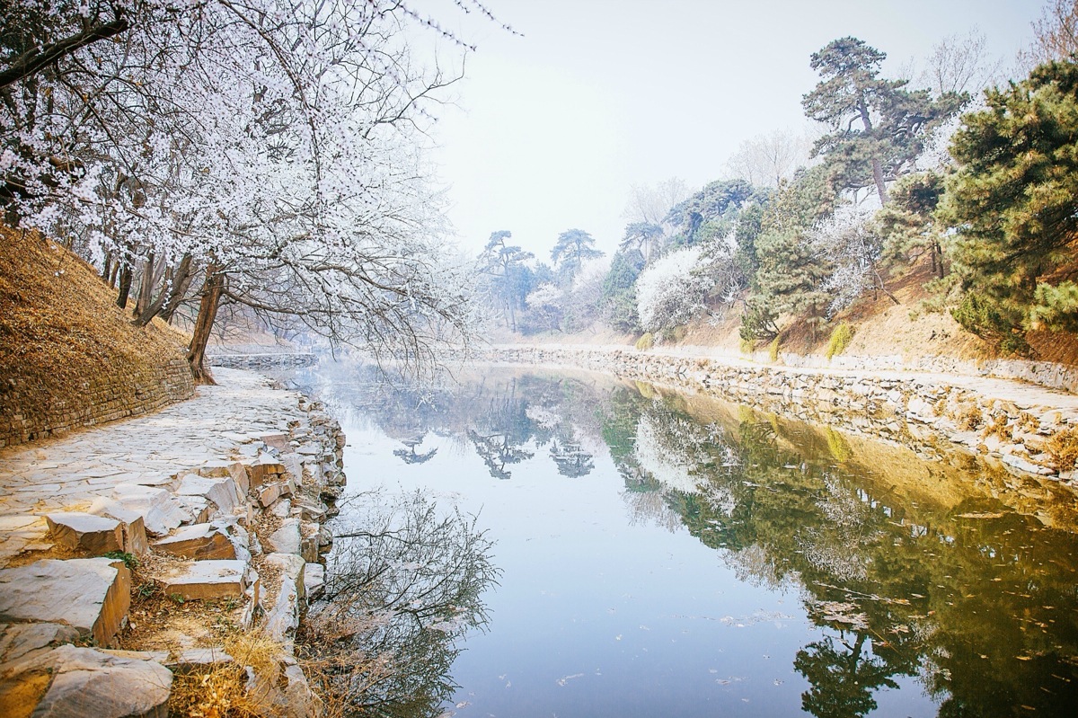 寒雪