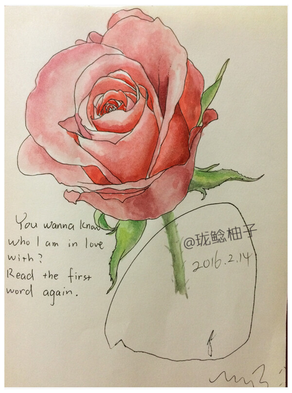 rose 