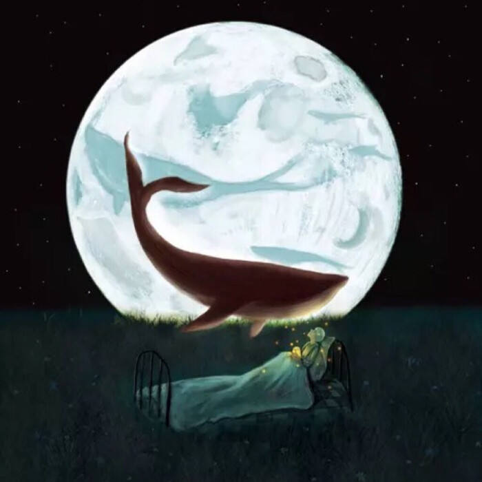 网易云音乐专辑封面.