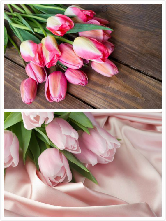 如果赠送粉色郁金香给恋人,则表示对恋人热烈的爱.如果赠送粉色郁