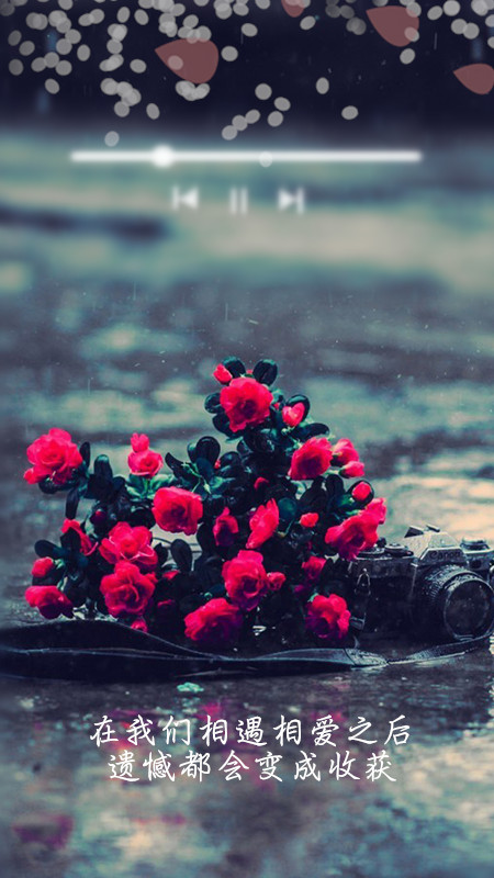 ——《my love》 壁纸 爱情 青春 歌词 伤感 治愈 回忆 怀念 成长